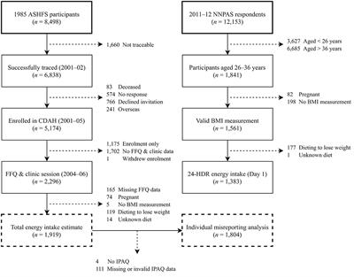 Retrospectively Estimating Energy Intake and Misreporting From a Qualitative Food Frequency Questionnaire: An Example Using Australian Cohort and National Survey Data